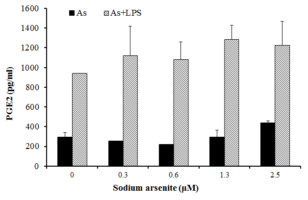 RAW264.7 cell에서 LPS로 유도한 PGE2분비에 대한 sodium arsenite의 영향