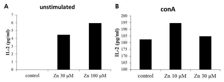 비장 면역세포에서 IL-2 분비에 미치는 zinc 의 영향