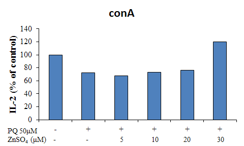 비장 면역세포에서 paraquat에 의해 감소되는 conA 유도 IL-2 분비에 미치는 zinc sulfate의 영향