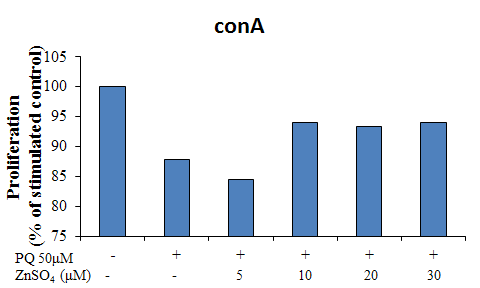 비장 면역세포에서 paraquat에 의해 감소되는 conA 유도 증식능에 미치는 zinc의 영향
