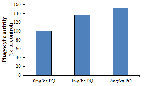 paraquat 투여가 쥐의 복강대식세포의 대식능에 미치는 영향