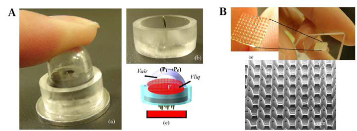 (A) 수기야마 연구팀의 Blood Extraction Device; (B)Polymer 젓공형 마이크로니들.