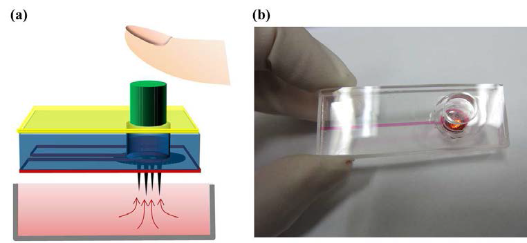 (a) 펌프를 이용해 혈액 및 점도 높은 용액의 채널 내부 이송; (b)마이크로니들 장착 미세유체소자.
