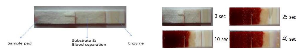 혈액전처리가 가능한 strip 센서. (a) 스트립 센서 구조 (b) 전혈 주입 후 경과시간에 따른 전혈분리 효과 및 glucose 측정 예시