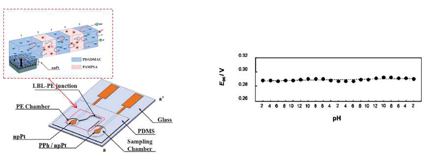 폴리머 기반의 기준 전극 구조도(좌) 및 전기화학적 특성(우)