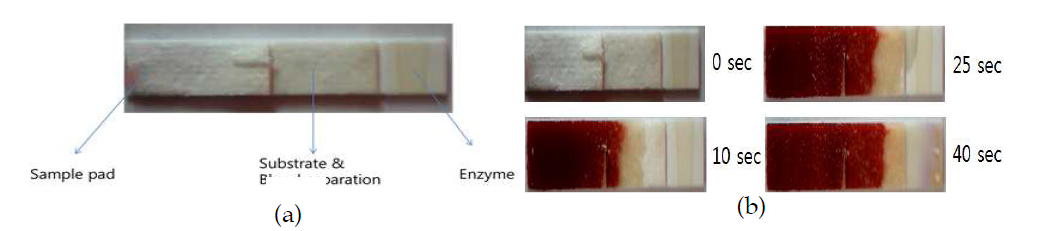 혈액전처리가 가능한 strip 센서. (a) 스트립 센서 구조 (b) 전혈 주입 후 경과시간에 따른 전혈분리 효과 및 glucose 측정 예시