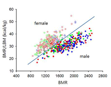 BMR/LMB와 BMR 에 의한 남녀구별