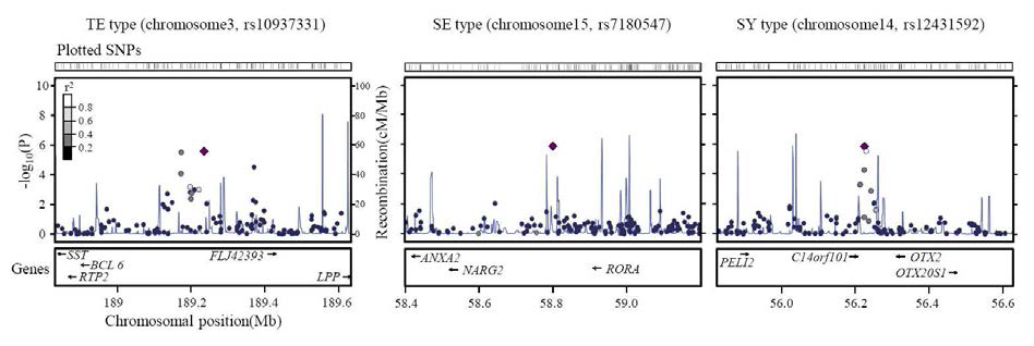 체질별 유의 SNP 부위의 유전체 구조