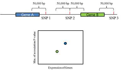 SNP와 유전자의 매핑 모식도