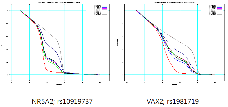 NR5A2, VAX2 유전자 부위 두 SNP의 allele 빈도결정을 위한 Melting curve