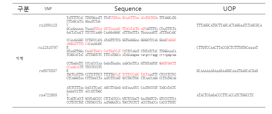 쳬형 연관 SNP의 genotyping을 위한 염기서열 정보
