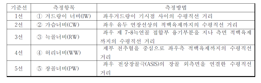 문헌에 근거한 체형 너비 변수