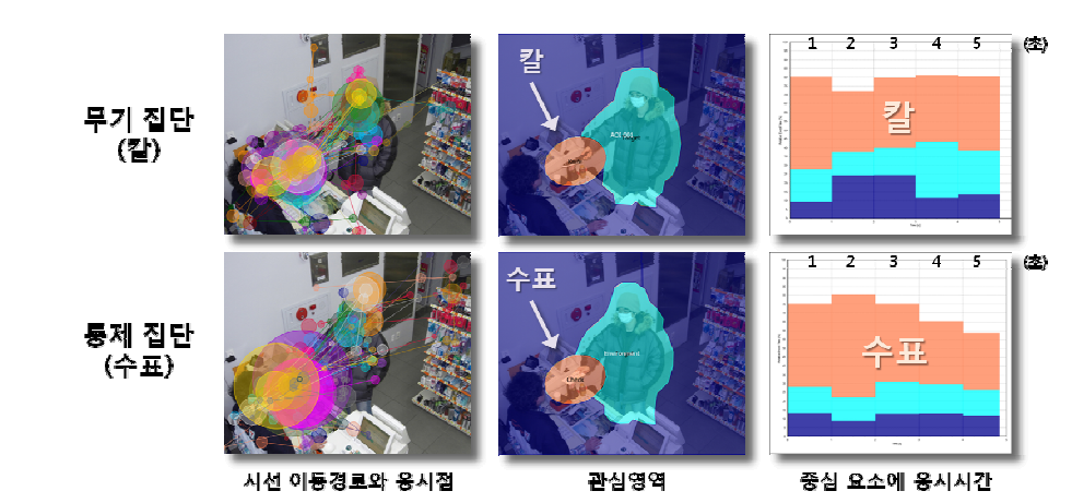 두 집단에 관한 안구운동 추적 결과