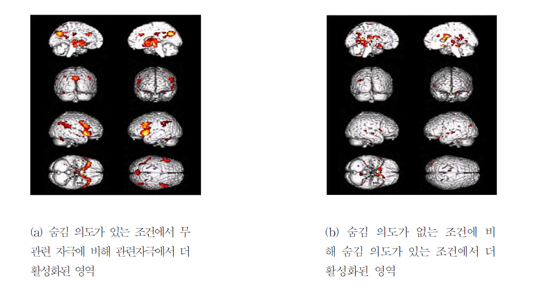 무 관련 자극에 비해 관련자극에서 더 활성화된 영역