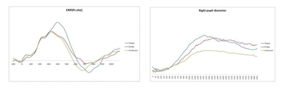 각 자극에 대한 ERP와 동공크기