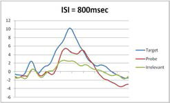 800msec의 ERP