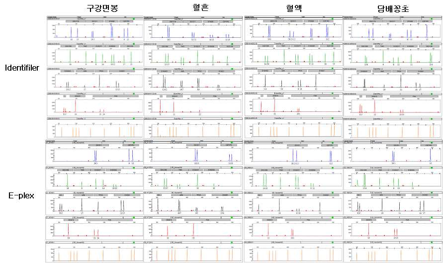 DNA source별 profiling test 결과