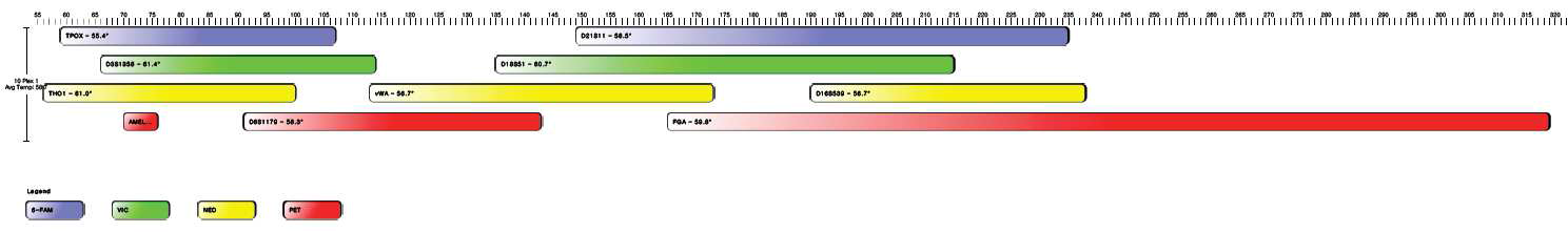 Separation of markers by size and fluorescent dyes.