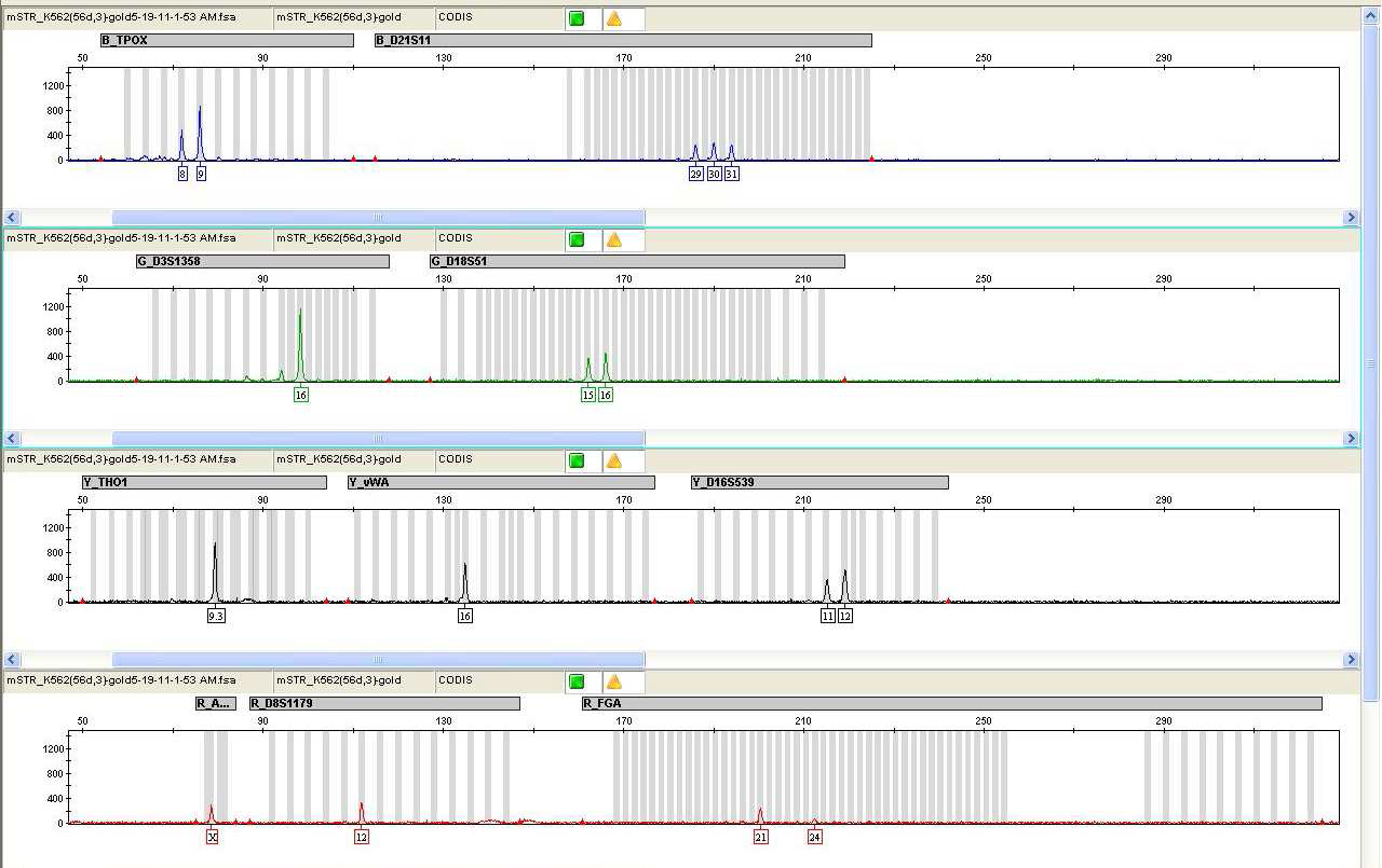 Electropherogram of K562 standard DNA by the 10-plex miniSTR system analyzed in GeneMapper v4.2.