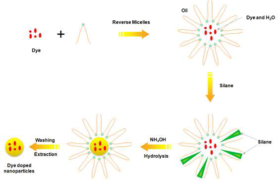 역마이크로에멀젼 시스템을 이용한 실리카 나노입자 제조과정모식도.