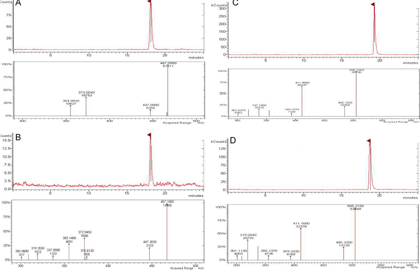 전형적인 표준물질인 clobetasol propionate(467 m/z, A)과 betamethasone dipropionate (505 m/z, B)에서 LC-MS/MS의 크로마토그램과 실제 화장품 내 함유된 clobetasol propionate (C)와 betamethasone dipropionate (D)의 크로마토그램.