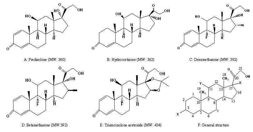 표준물질인 prednisolone, hydrocortisone, dexamethasone, betamethasone과 triamcinolone acetonide의 분자구조