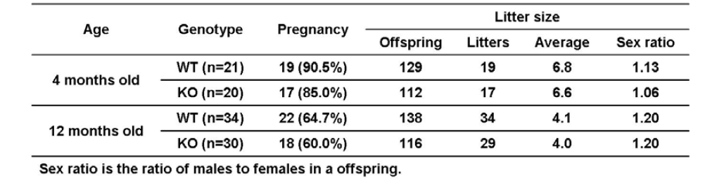 Male fertility of WT and prx4LKO mice