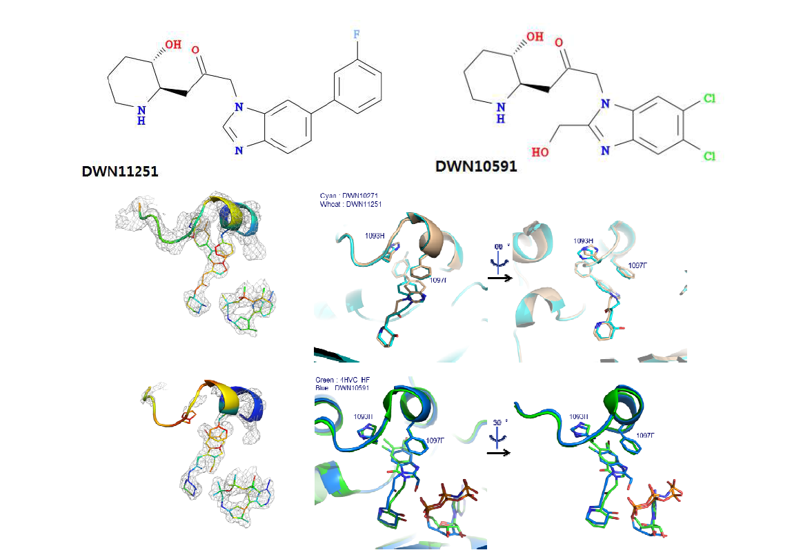 Halofuginone의 2차 변형 억제제인 DWN11251과 DWN10591과의 PRS 복합체 구조.
