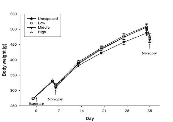 Body weight change during experiment