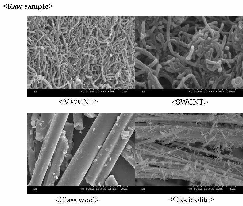 Scanning Electron Microscope (SEM) image of raw samples.