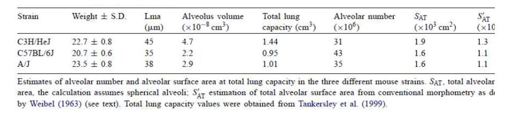 Alveolar number and alveolar surface area