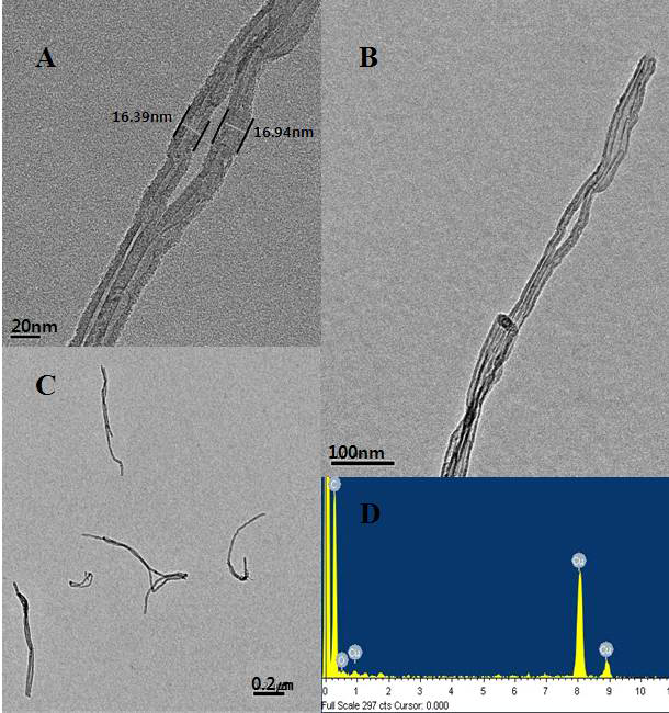 Analysis of gold nanoparticles with FE-TEM and EDX spectrometer (A～C) Field Emission-Transmission Electron Microscope (×100,000), (D) EDX spectrometer