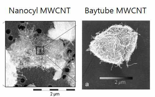 Nanocyl과 Baytube의 MWCNT 모양