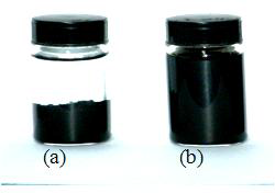 Saline에 부유 한 달 후 MWCNT nanofluid의 변화 (a)PMWCNT, (B)TMWCNT