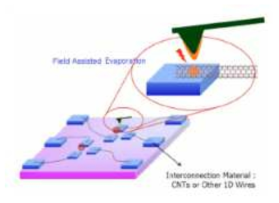 AFM을 이용한 field-assisted soldering of CNTs