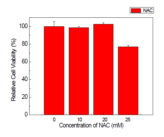 NAC 농도별 처리 후 세포생존율(MTT assay)