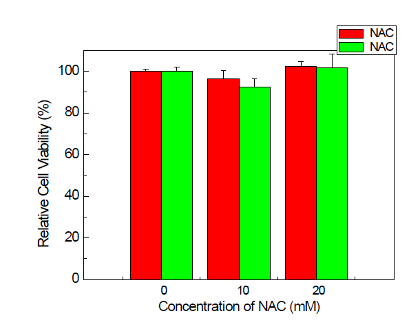 NAC 농도별 처리 후 재연 세포독성시험 (MTT assay)