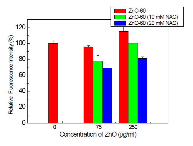 NAC 농도별 처리 후 ZnO 의 세포생존율 (MTT assay)
