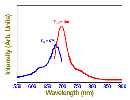 3차 합성된 FPR675-코어 실리카 나노입자의 형광 분석 (in borate buffer).