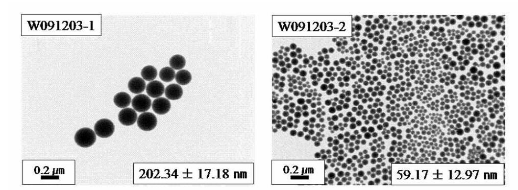 SiO2 실리카 나노입자의 TEM 결과. (H2O 0.25 mol (좌), H2O 2.00 mol (우))