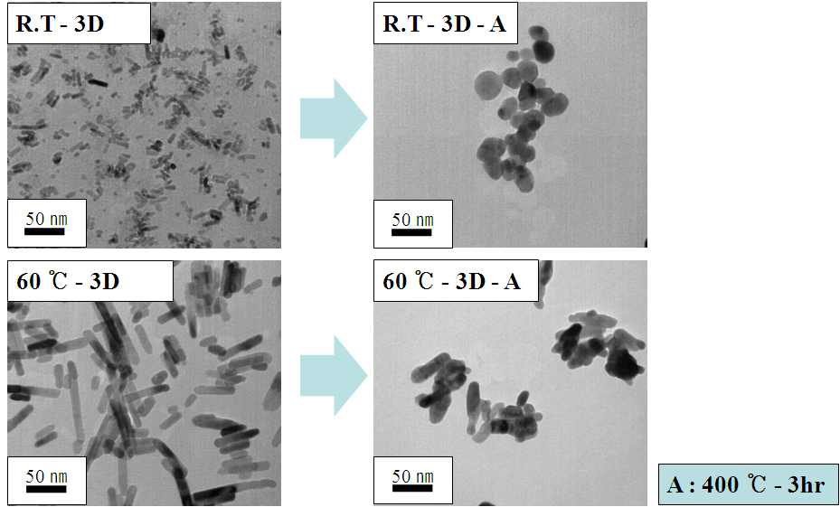 ZnO 의 열공정(400 ℃) 후 TEM 결과