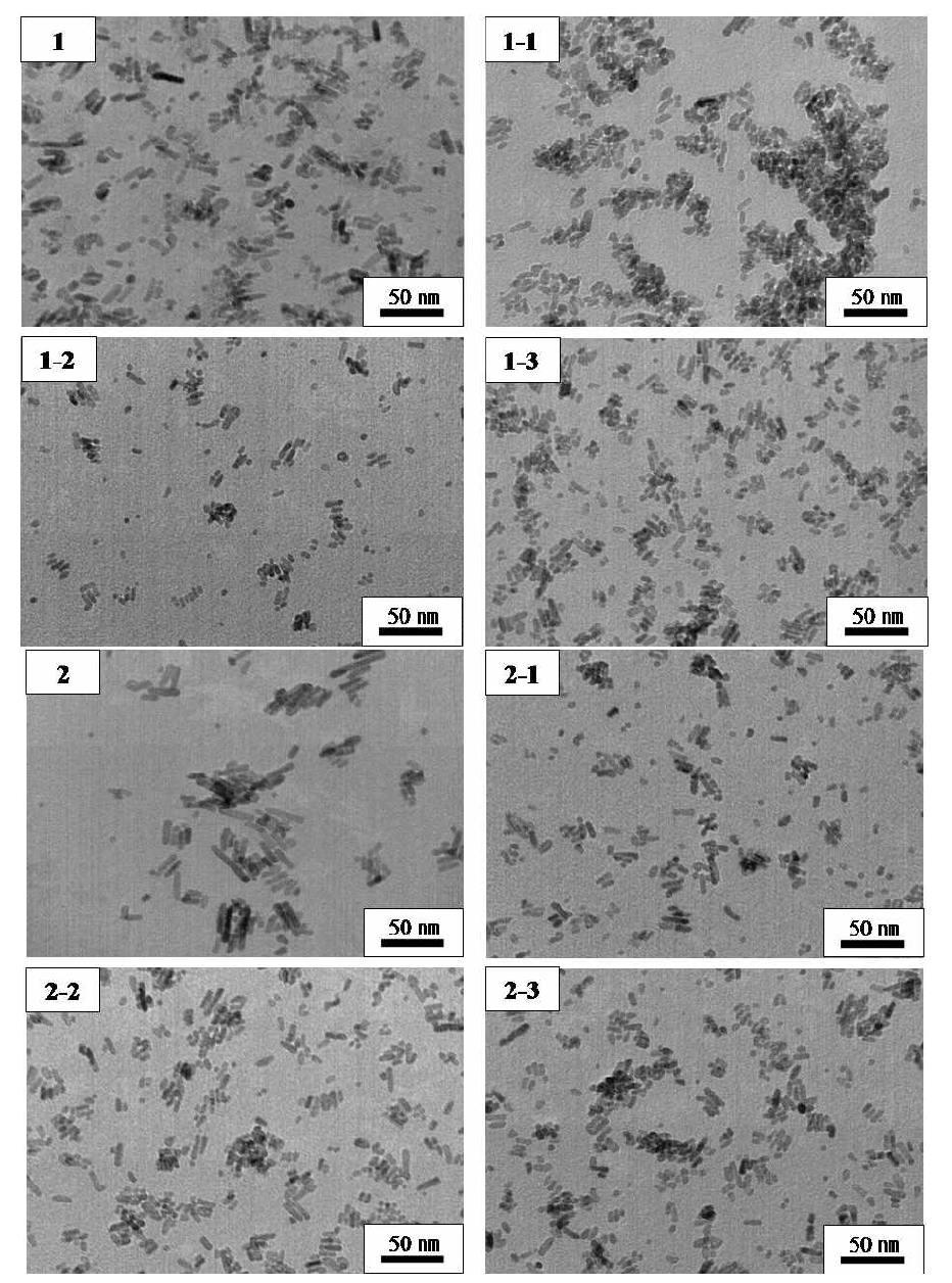 재연 합성 된 ZnO 의 TEM 결과 (시료 1 & 시료 2)