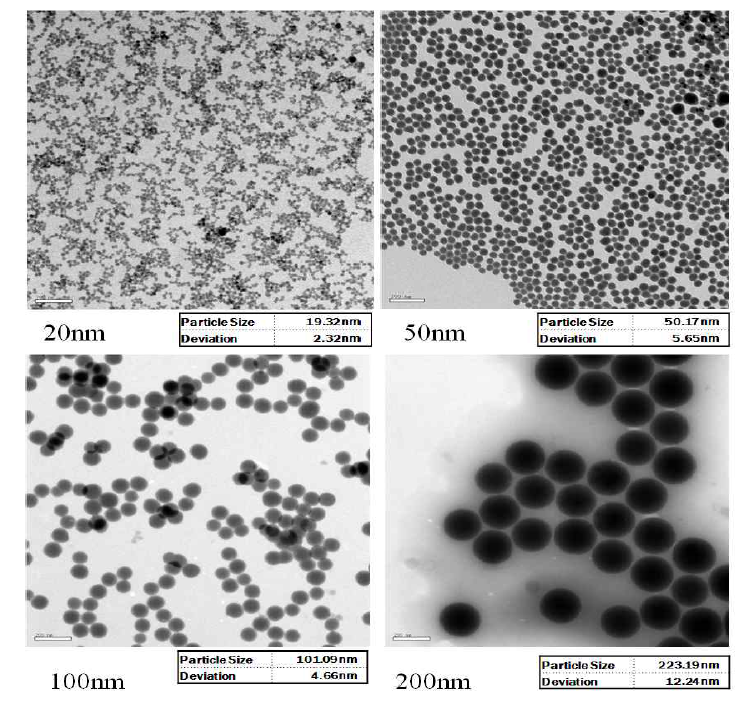 입자의 크기별 RITC-실리카 나노입자의 TEM 결과