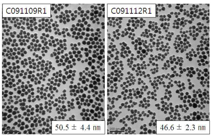 입자의 크기별 RITC-실리카 나노입자의 TEM 결과