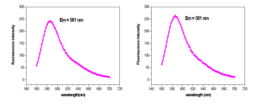 50 nm RITC-실리카 나노입자의 PL (photoluminescence)