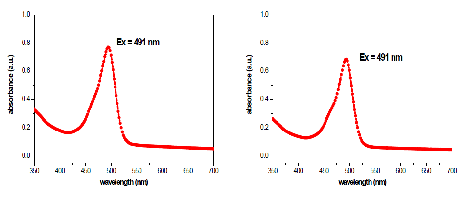 50 nm FITC-실리카 나노입자의 흡광도