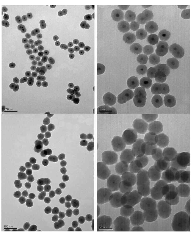 NIR-코어 실리카 나노입자의 TEM. L090714 (45 ± 1.6 nm) (상), L090819-1 (55.0 ± 3.0 nm) (하)