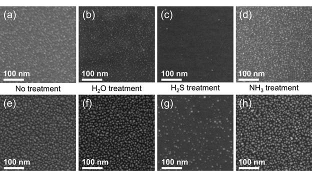 SEM images of the Pt films grown on SiO2 under various pretreatments for 50 ((a)–(d)) and 100 ((e)–(h)) cycles, respectively.