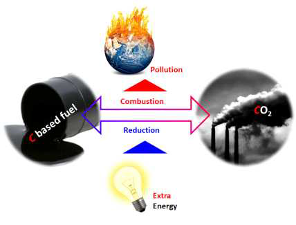 탄소의 순환 과정