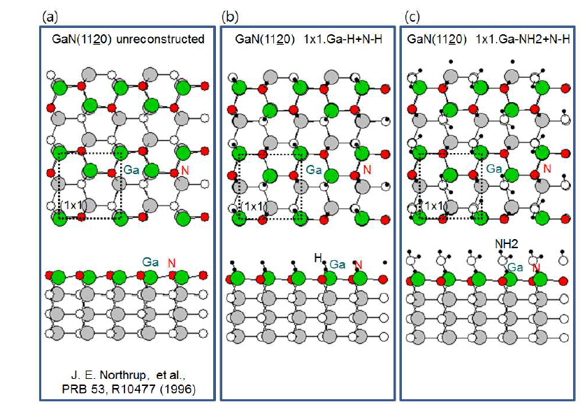 GaN(11-20) (a) (1x1) unreconstructed, (b) (1x1) Ga-H+N-H, (c) (1x1) Ga-NH2+N-H 재구조의 표면 원자 구조.